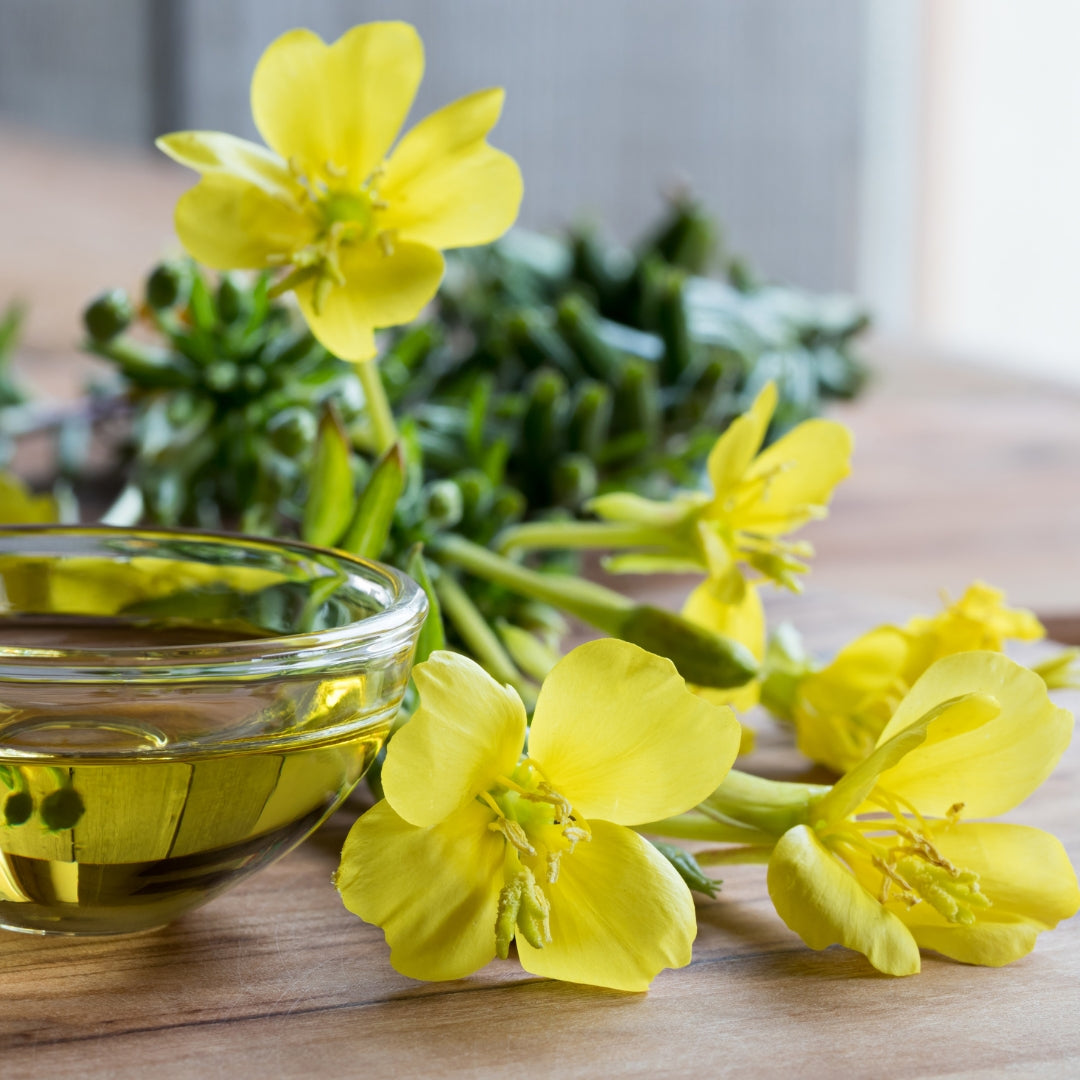 Revefore Evening Primrose Oil