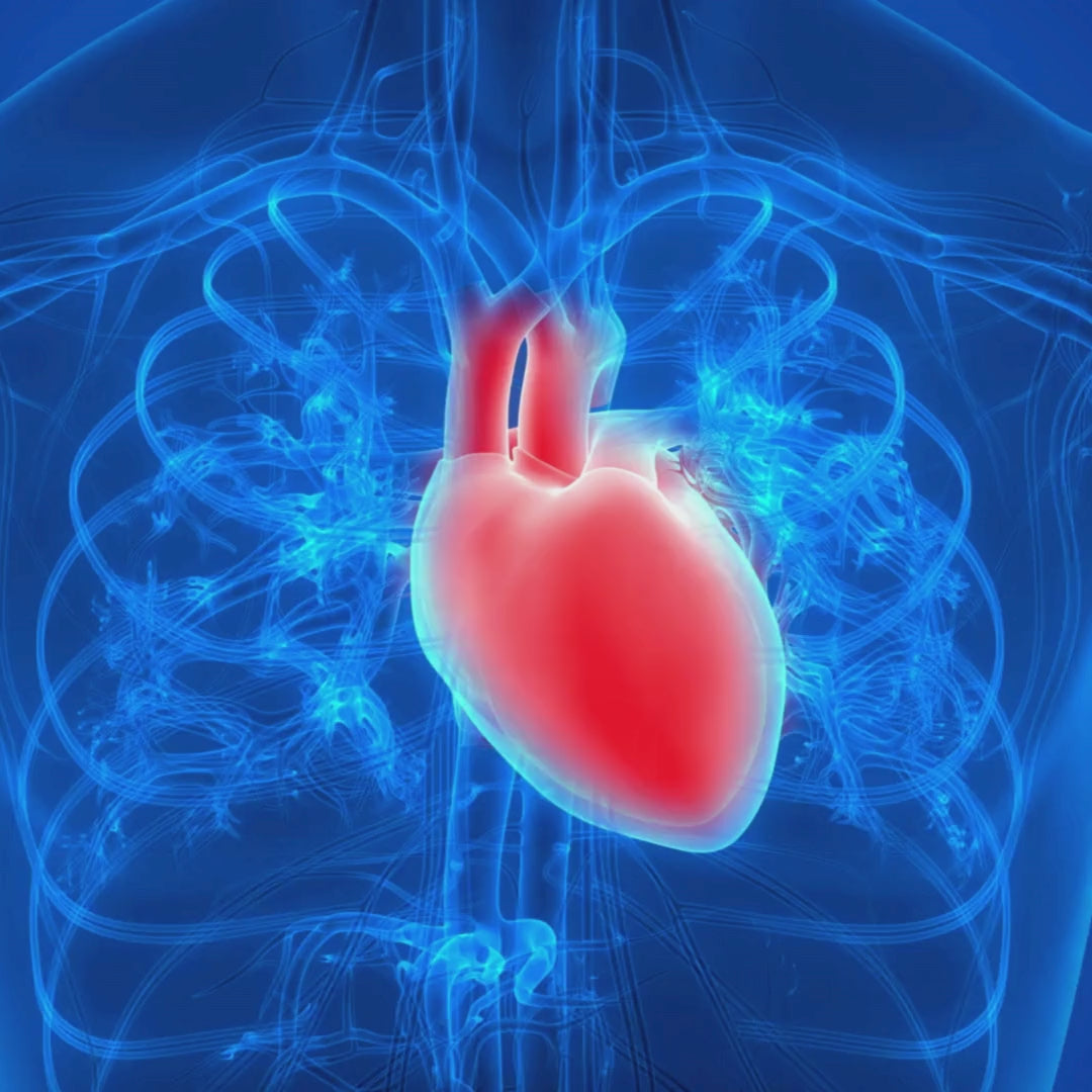 Revefore CoQ10 with Omega-3