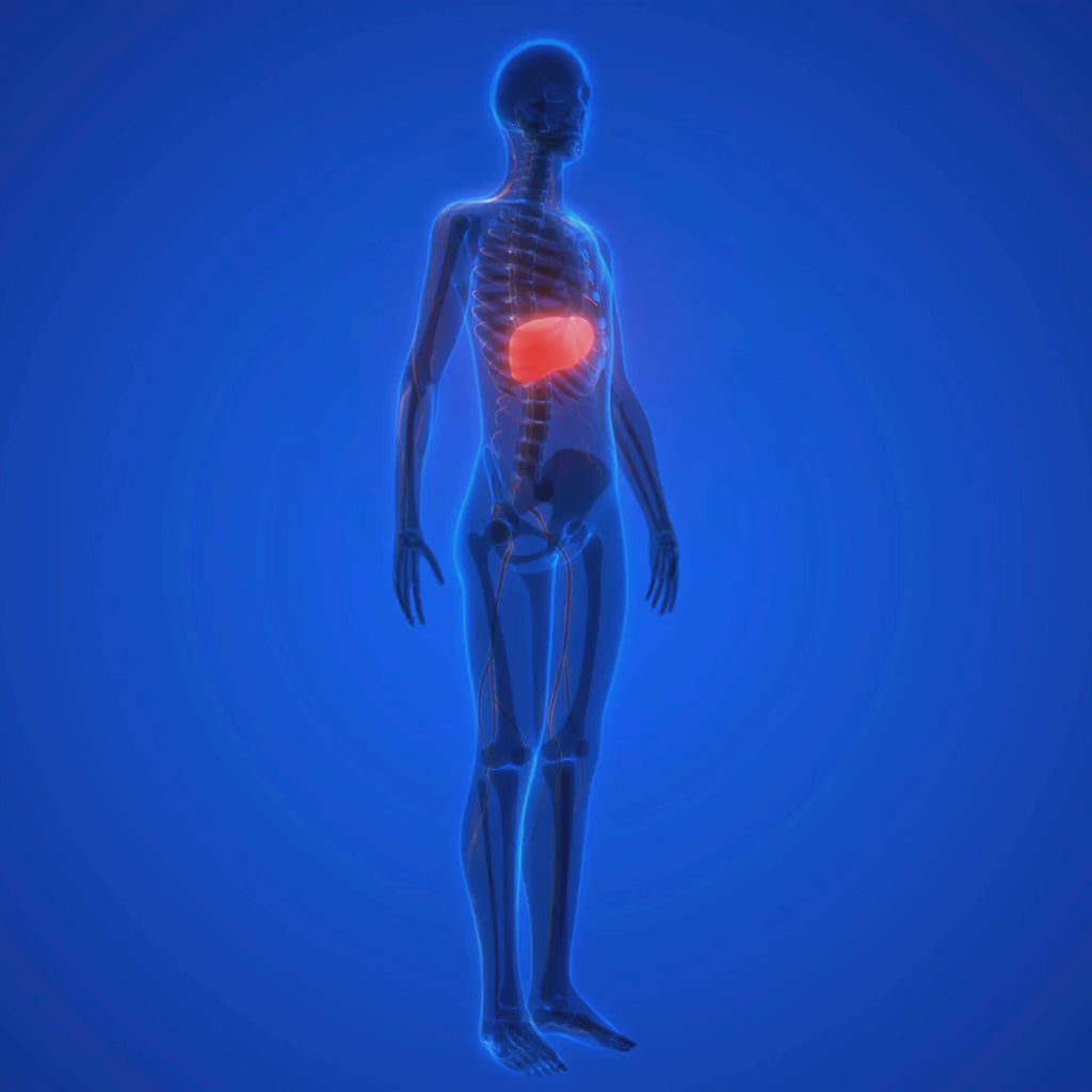 Revefore Squalene 1000mg