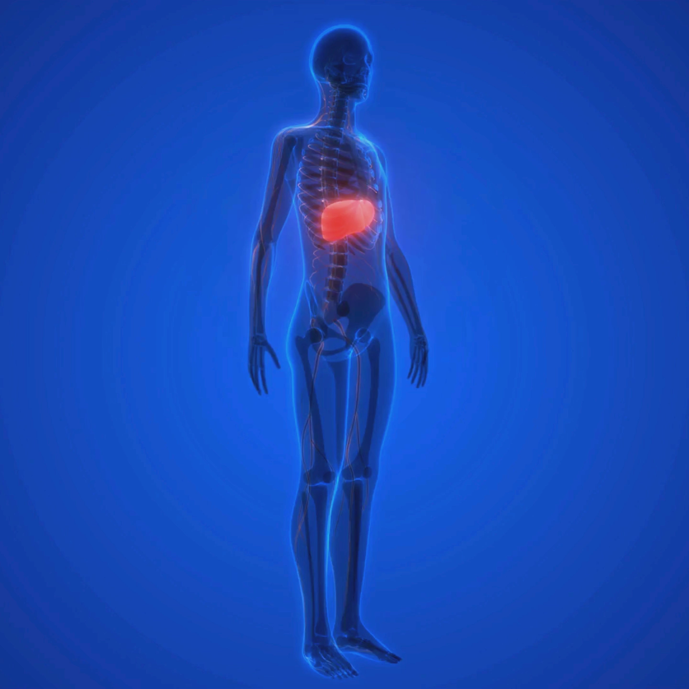 Revefore Squalene 1000mg