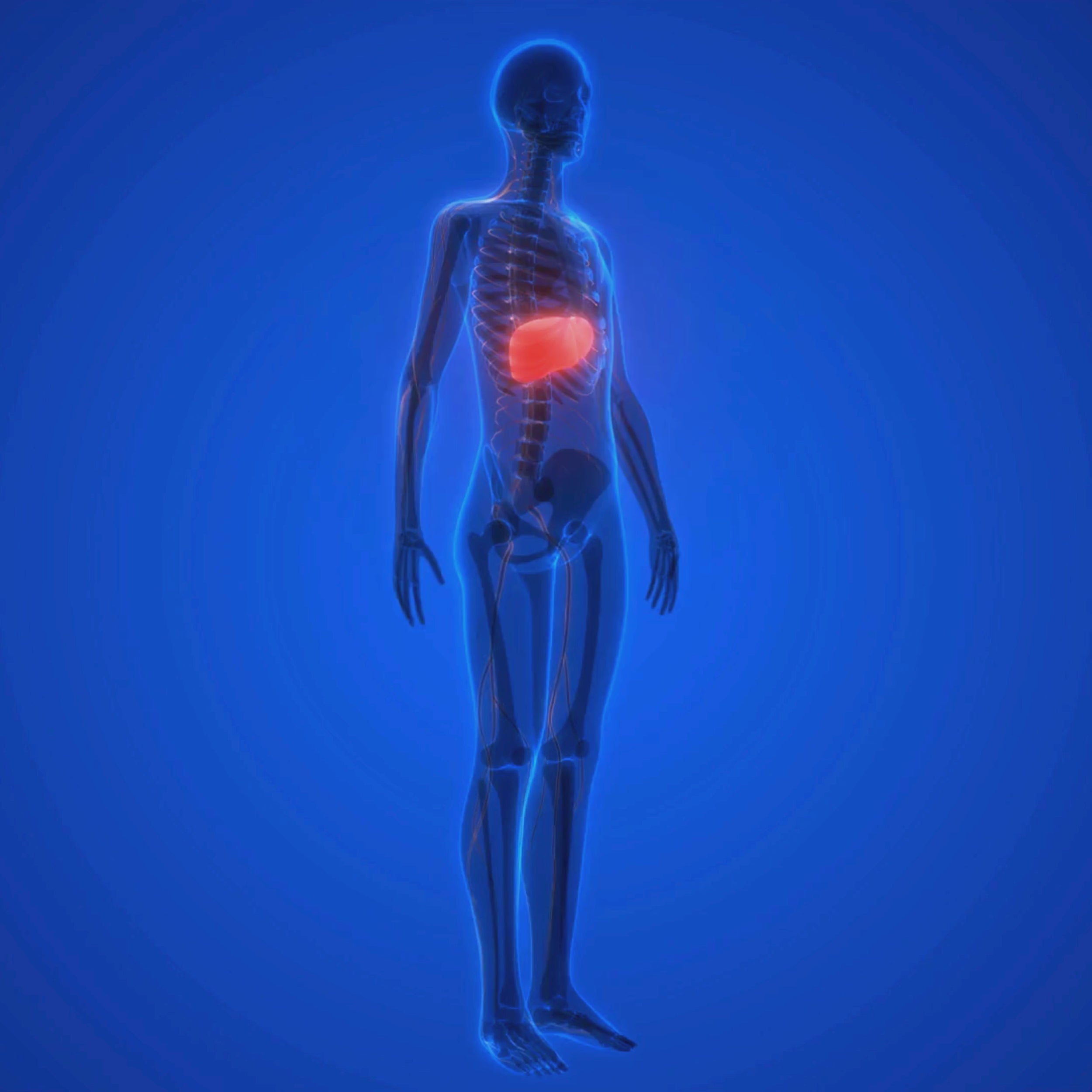 Revefore Squalene 1000mg